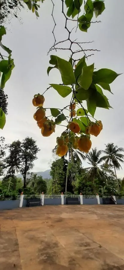 Guest house Pepper Valley Resort Kalpetta